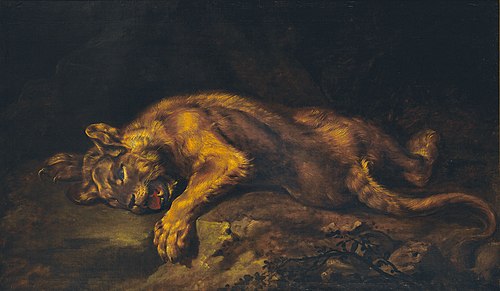 Sleeping Lion, , Nicasius Bernaerts