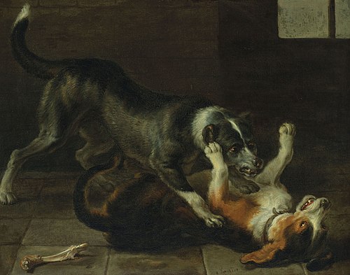 Dog fight in an interior, 1650, Nicasius Bernaerts
