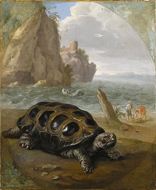 Tortue sur un bord de mer, avec trois pêcheurs, 1650, Nicasius Bernaerts