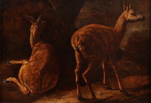 A study of two deer calfs, 1650, Nicasius Bernaerts