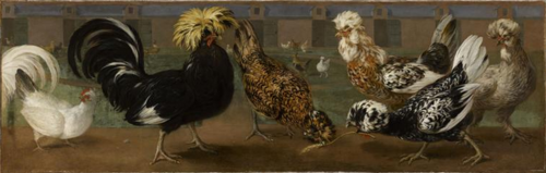 Barnyard, 1650, Nicasius Bernaerts