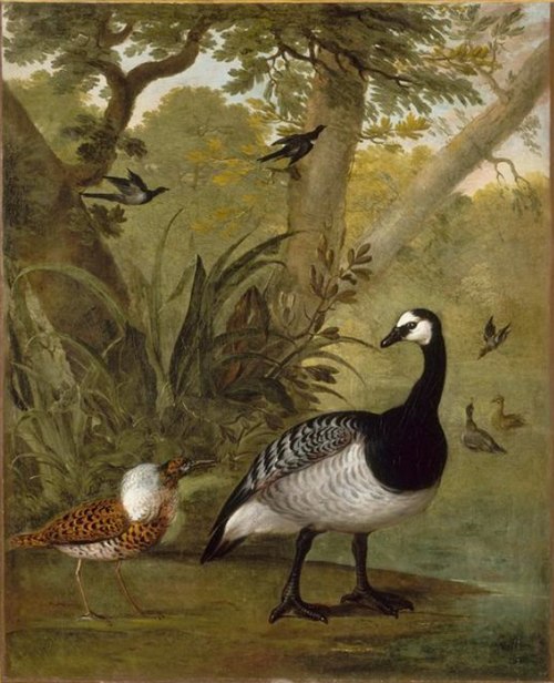 Oiseaux et faisans, 1650, Nicasius Bernaerts