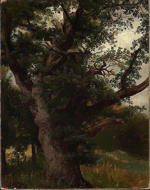 Eichbaum, 1857, Johann Wilhelm Schirmer