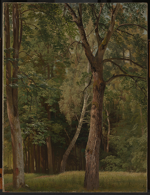Laubwald mit Kastanien und Birken, , Johann Wilhelm Schirmer