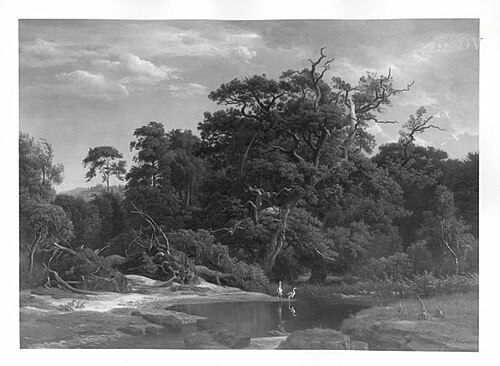 Oak-trees with little pond, 1842, Johann Wilhelm Schirmer
