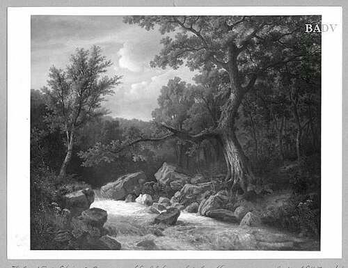 Torrent in the woods, 1847, Johann Wilhelm Schirmer
