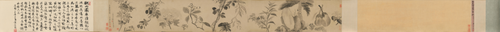 王铎花卉卷, , Duo Wang