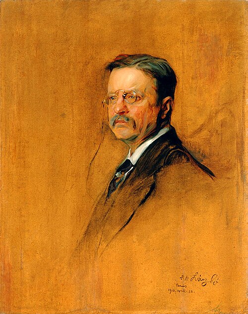 Theodore Roosevelt, 1910, Philip Alexius de László