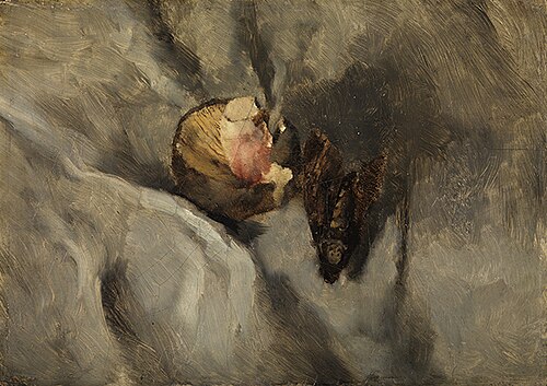 Totenkopfschmetterling mit Pilz auf weißem Tuch, 1868, Wilhelm Leibl