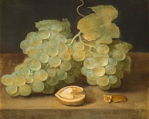 Still life with Grapes and Walnut, 1640, Jacob van Es