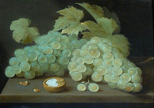 Grapes with a Half Walnut, , Jacob van Es