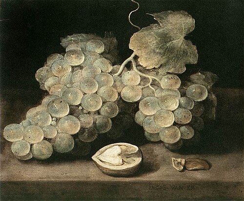 Grapes with a Walnut, 1650, Jacob van Es