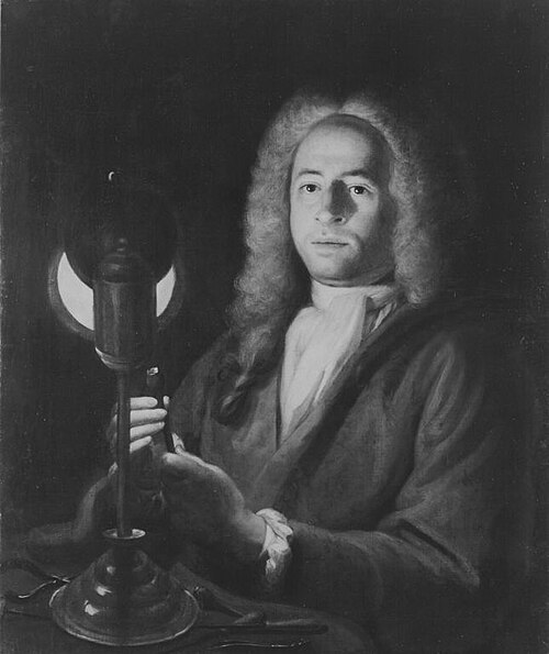 Bildnis des Juweliers Abraham Desmarées, 1736, Georg Desmarées