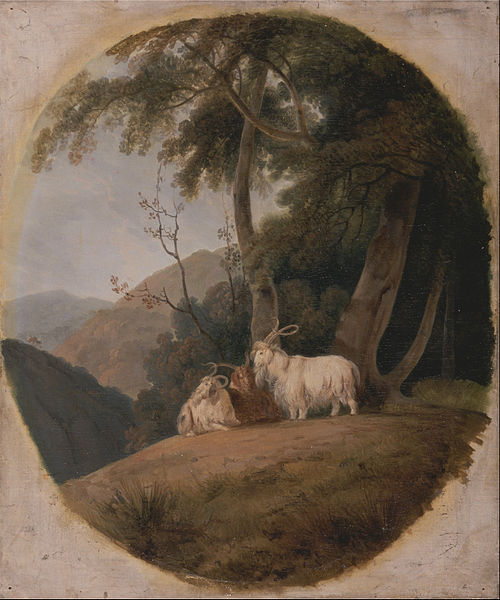 Kashmir Goat, 1800, William Daniell
