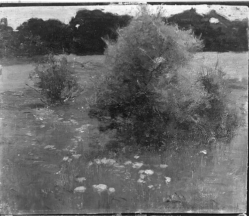 Wiesenlandschaft im Frühling, , Arthur Langhammer
