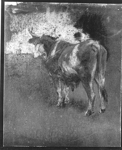 Ein Ochse, 1892, Arthur Langhammer