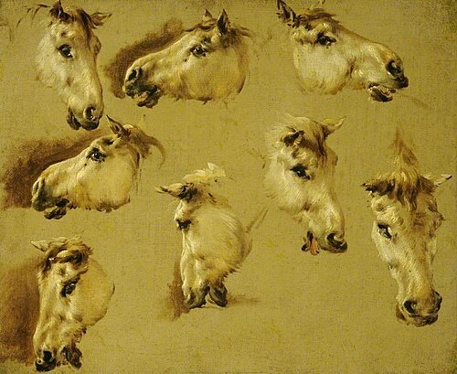 Studies of a Horse's Head, , Nicolaes Pieterszoon Berchem