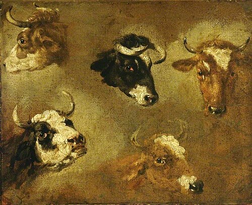 Studies of Cows' Heads, , Nicolaes Pieterszoon Berchem
