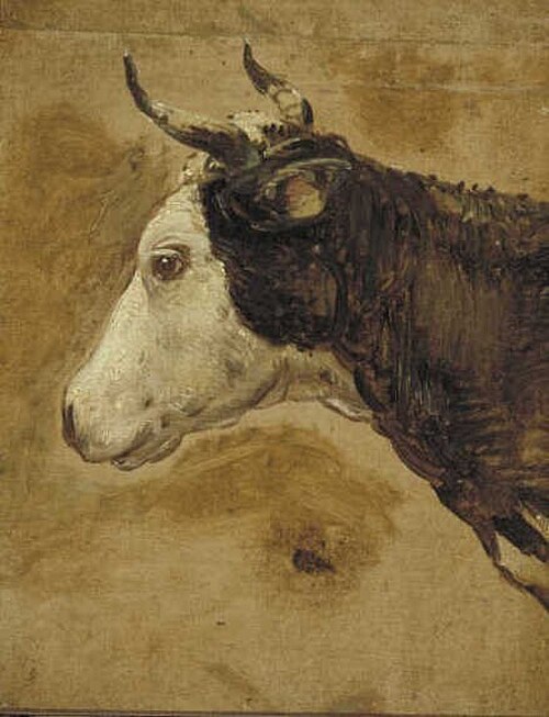 Head of a Cow, 1649, Nicolaes Pieterszoon Berchem