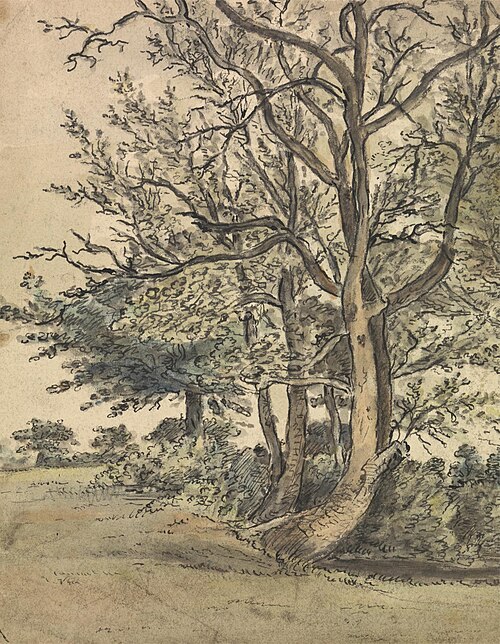 Part of Regent's Park, 1805, Patrick Nasmyth