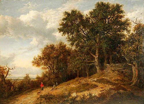 Wooded Landscape with Distant View, 1820, Patrick Nasmyth
