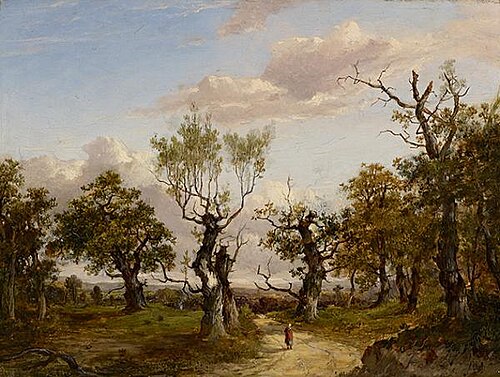 Wooded Landscape, , Patrick Nasmyth