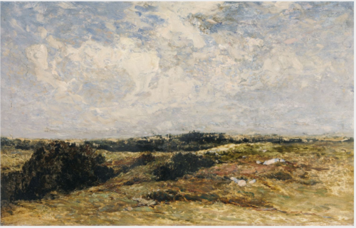 A Wicklow Common, , Patrick Vincent Duffy