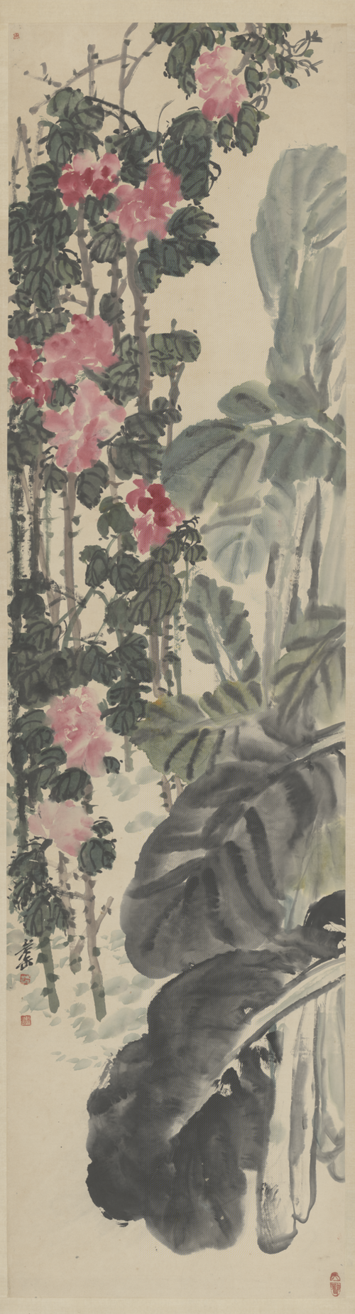 吴俊卿芭蕉牡丹轴, , Wu Changshuo