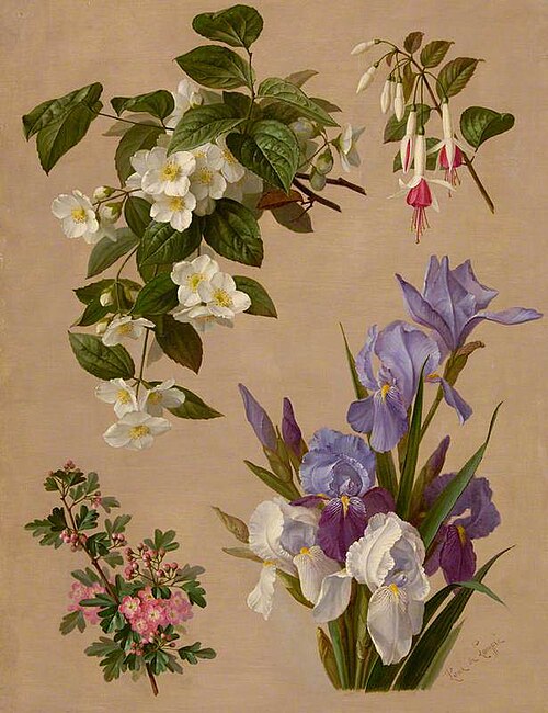 Iris, fuchsia, and other flowering plants, , Paul de Longpré