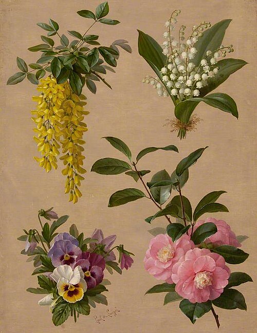 Lily of the valley, camellia, pansy, and laburnum, , Paul de Longpré