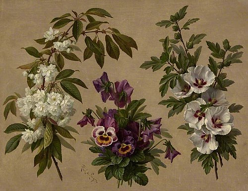 Three flower and shrub plants, , Paul de Longpré