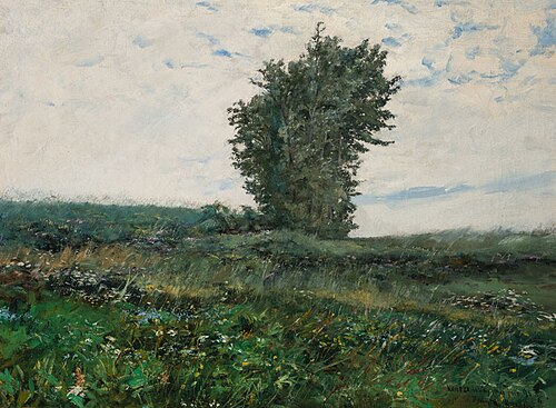 A Piece of Meadow in Spring, 1895, František Kaván