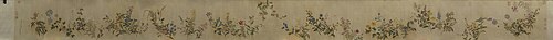 蒋廷锡塞外花卉图卷, , Jiang Tingxi