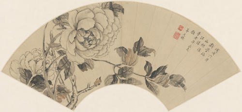蒋廷锡牡丹扇面, , Jiang Tingxi