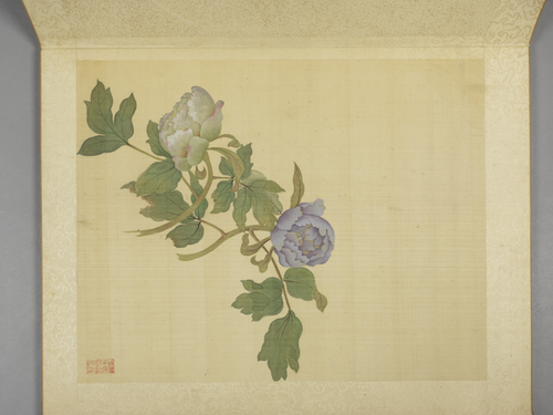 蒋廷锡牡丹十六种册, , Jiang Tingxi