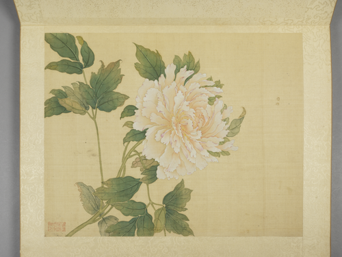 蒋廷锡牡丹十六种册, , Jiang Tingxi