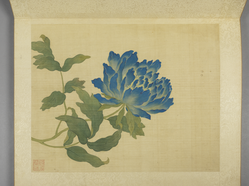 蒋廷锡牡丹十六种册, , Jiang Tingxi