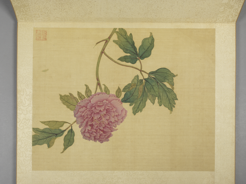 蒋廷锡牡丹十六种册, , Jiang Tingxi