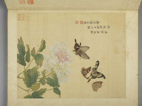 蒋廷锡牡丹十六种册, , Jiang Tingxi