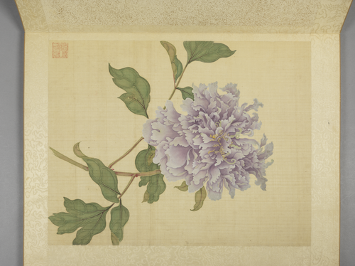 蒋廷锡牡丹十六种册, , Jiang Tingxi