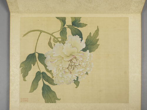 蒋廷锡牡丹十六种册, , Jiang Tingxi