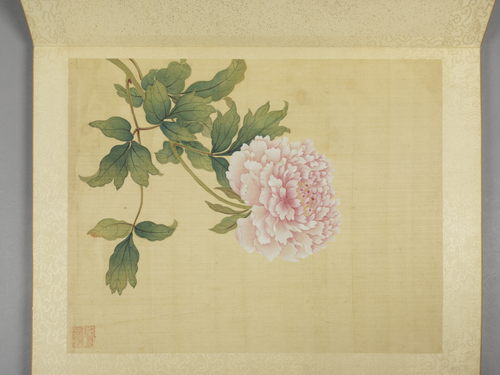 蒋廷锡牡丹十六种册, , Jiang Tingxi