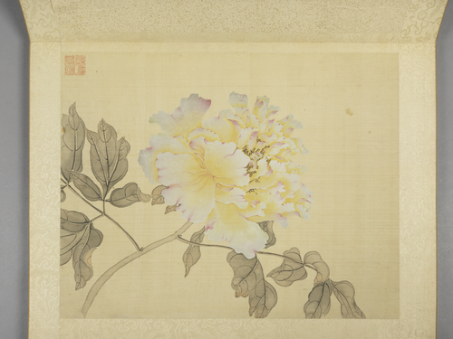 蒋廷锡牡丹十六种册, , Jiang Tingxi