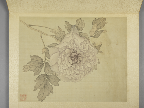蒋廷锡牡丹十六种册, , Jiang Tingxi