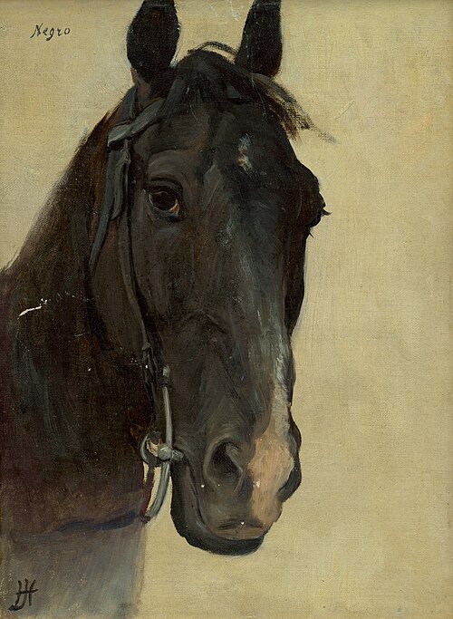 Head Study of Horse Negro, 1895, Jozef Hanula