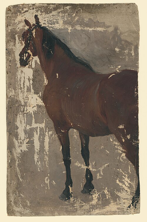 Štúdia koňa, 1890, Jozef Hanula