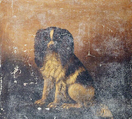 Portrait of the Spaniel 'Fop', , James Andrews