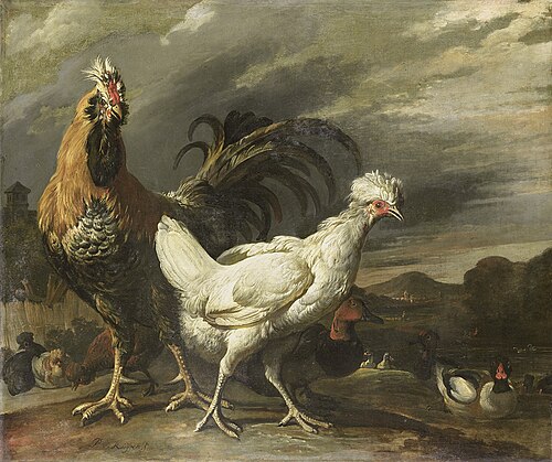 Cock, a Hen and other Poultry, 1680, Pieter Jansz. van Ruyven