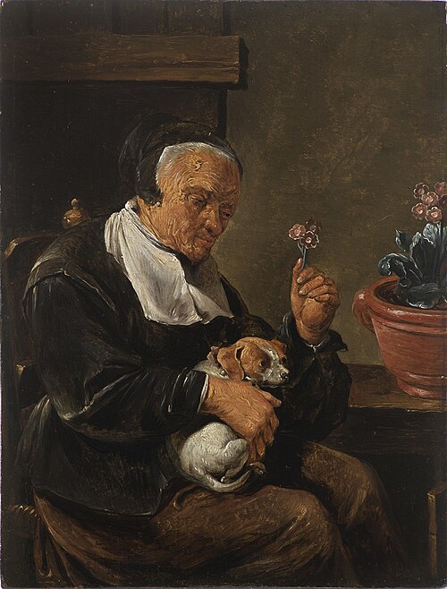 Portrait of an old woman with a dog, 1750, Peter Snyers