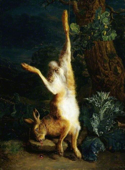 A dead hare, , Peter Snyers